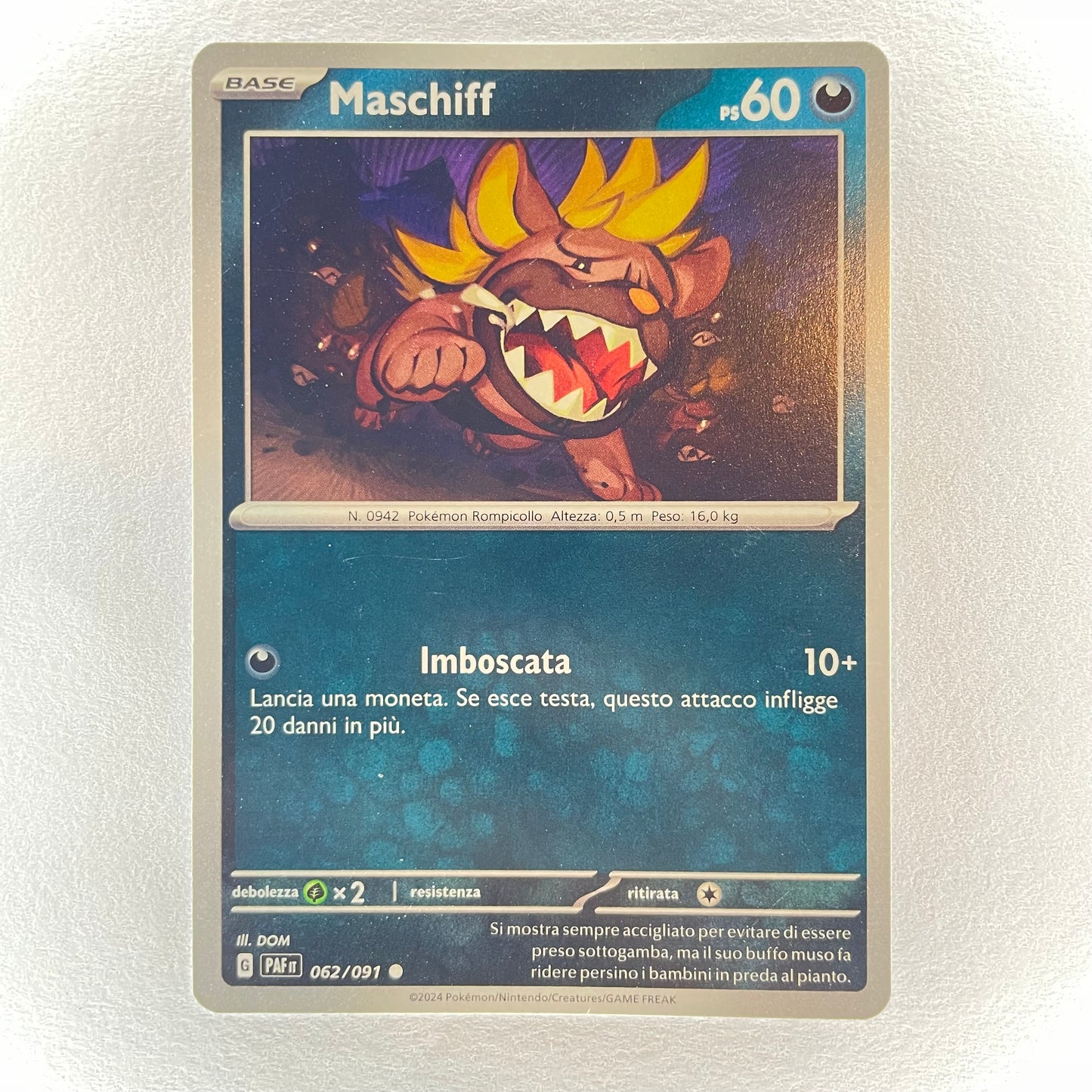 62/91 Maschiff - DESTINO DI PALDEA - PAF - ITA