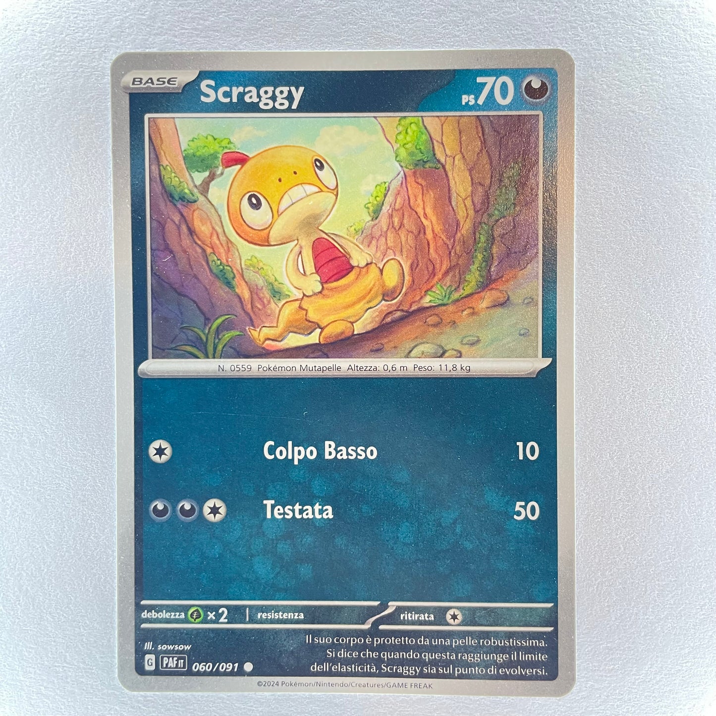 60/91 Scraggy - DESTINO DI PALDEA - PAF - ITA