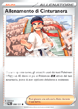 98/131 Allenamento di Cinturanera - EVOLUZIONI PRISMATICHE