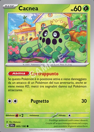5. Cacnea - SCARLATTO E VIOLETTO