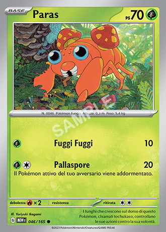 46/165 Paras - 151 (MEW)