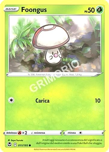 11/195 Foongus - TEMPESTA ARGENTATA