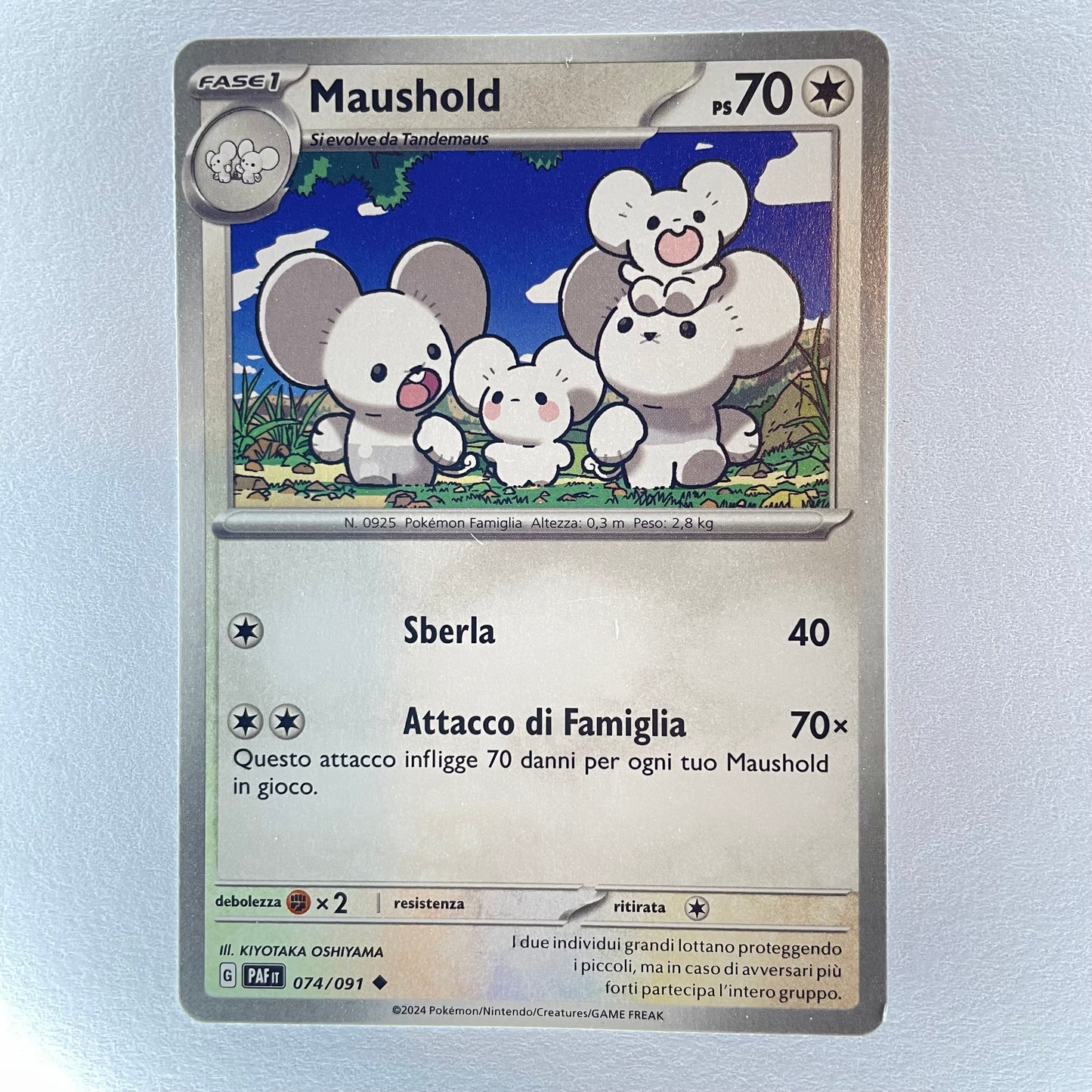 74/91 Maushold - DESTINO DI PALDEA - PAF - ITA