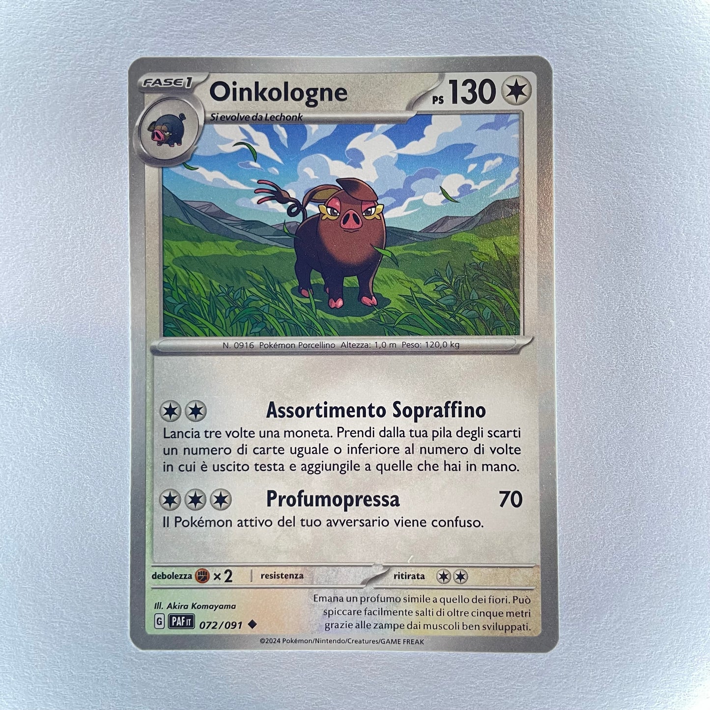 72/91 Oinkologne - DESTINO DI PALDEA - PAF ITA