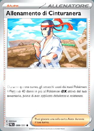 99/131 Allenamento di Cinturanera - EVOLUZIONI PRISMATICHE