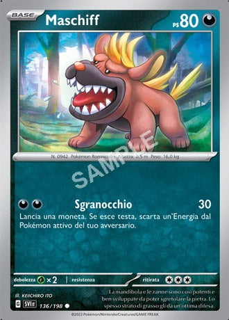 136/198 Maschiff - SCARLATTO E VIOLETTO