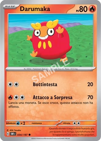 34/197 Darumaka - OSSIDIANA INFUOCATA - OBF