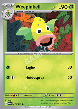 70/165 Weepinbell - 151 (MEW)