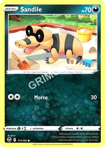 111/195 Sandile - TEMPESTA ARGENTATA